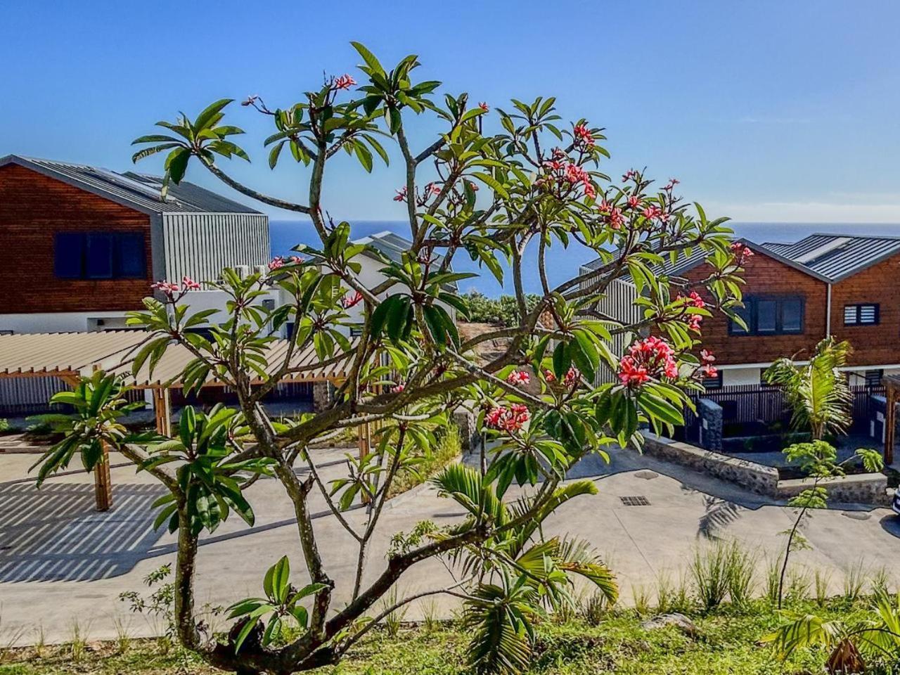 Le Reve Bleu Grand Anse Apartment Petite-Ile Luaran gambar